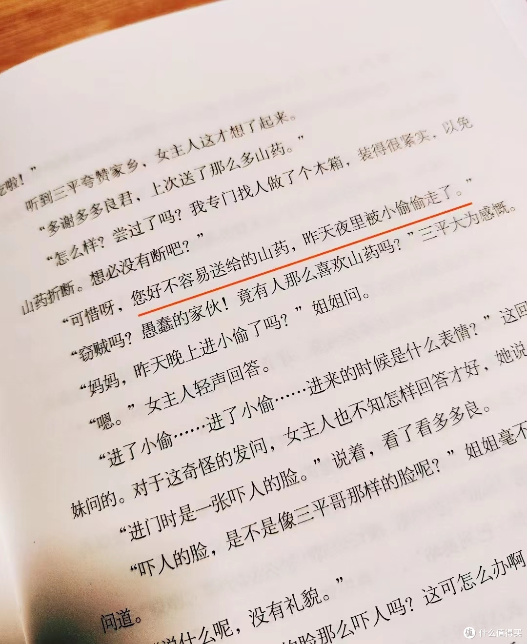 一只不会拐着弯讽刺人的猫