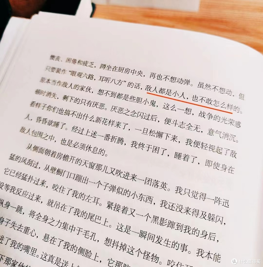 一只不会拐着弯讽刺人的猫