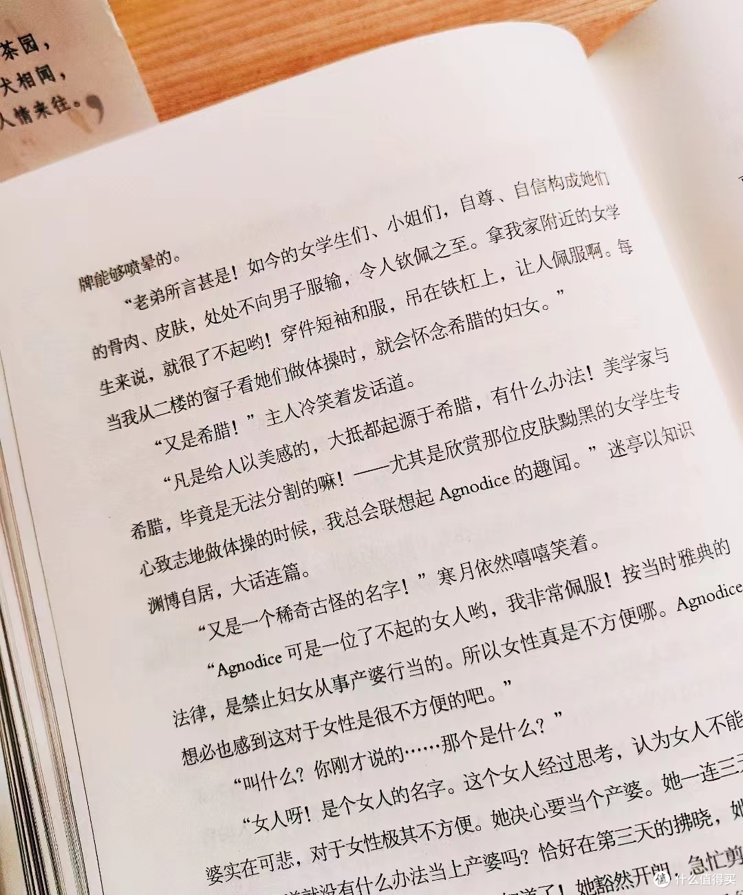 一只不会拐着弯讽刺人的猫