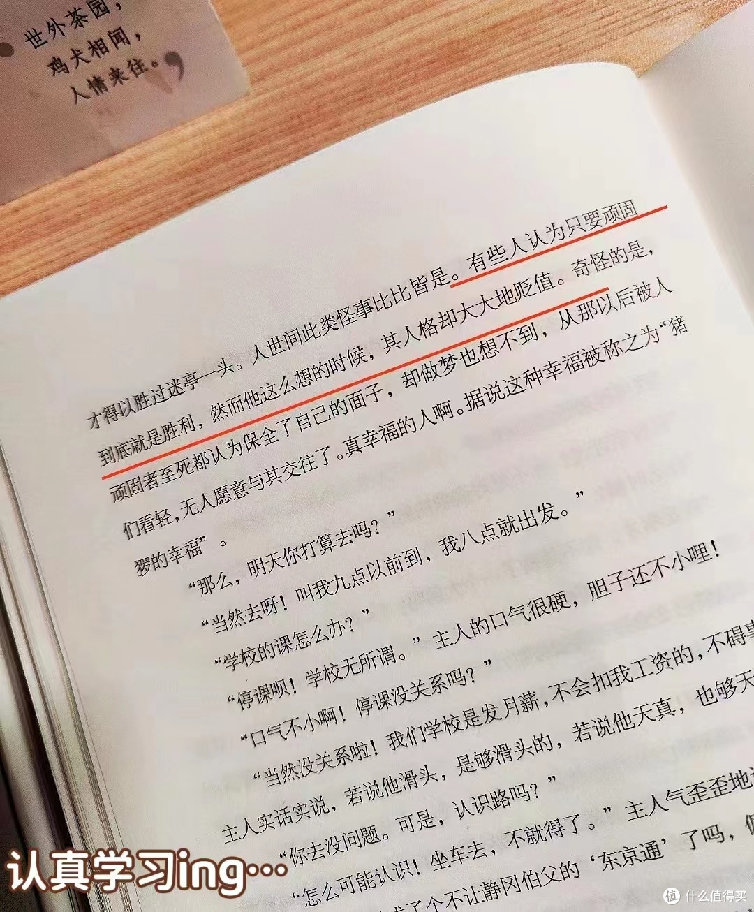 一只不会拐着弯讽刺人的猫
