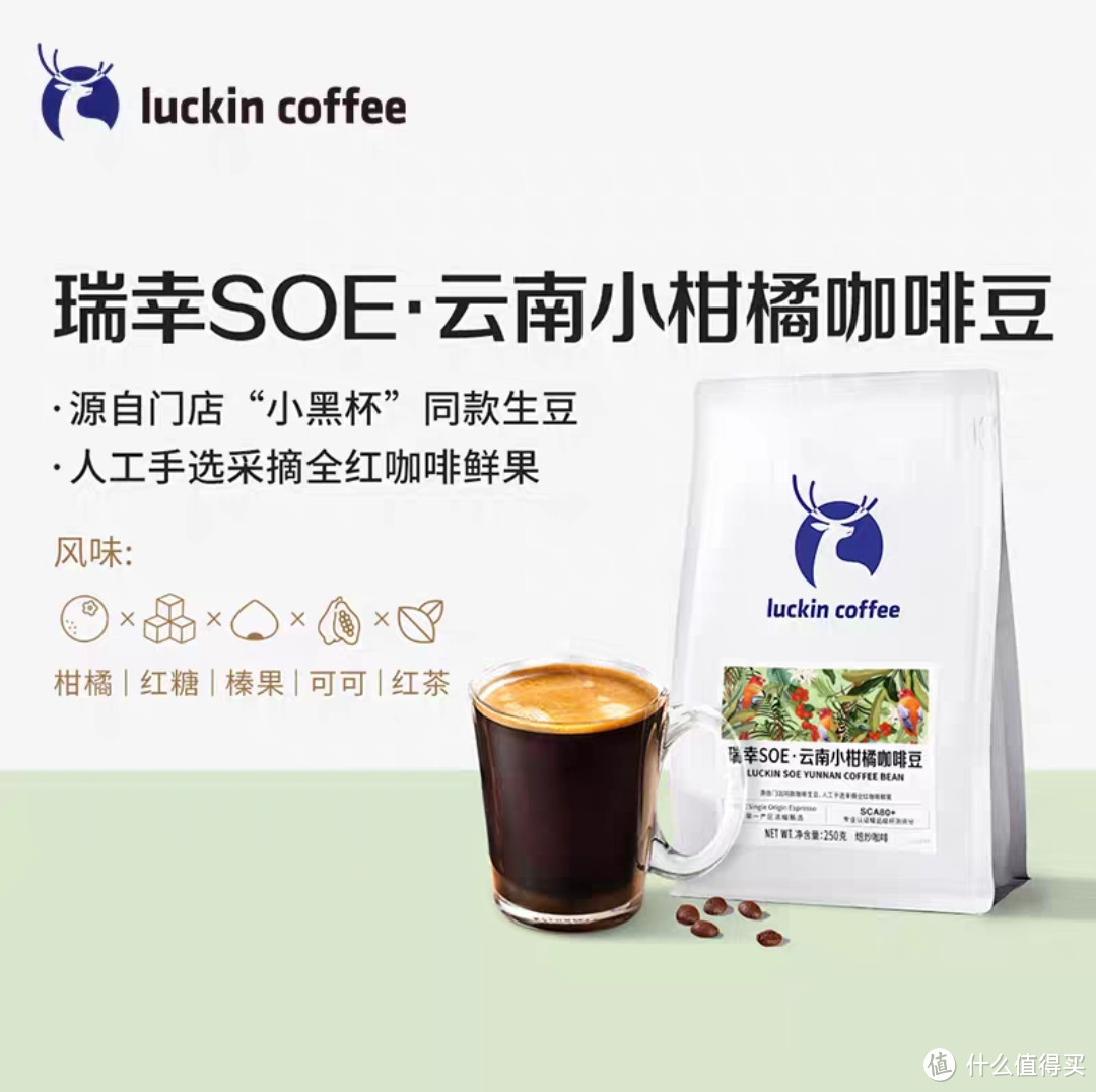 国内咖啡种植了解一下，其实国产咖啡豆还是不错的
