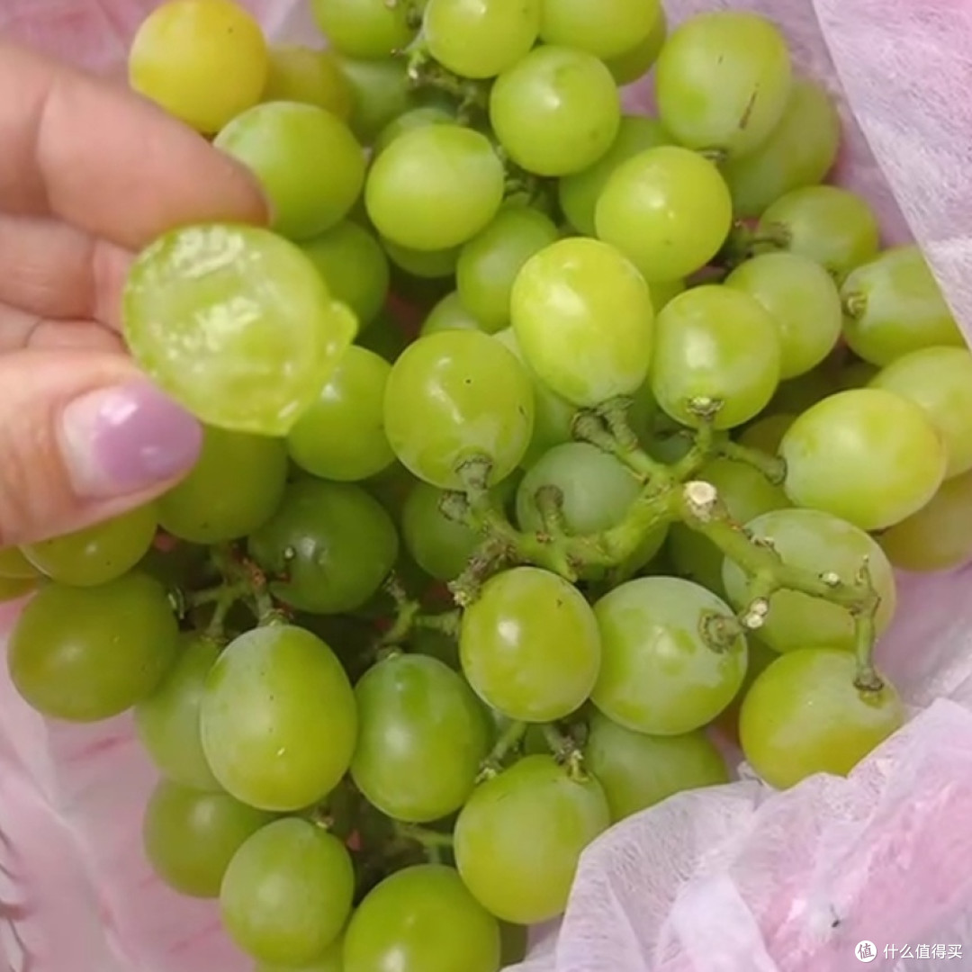 618种草几款夏季水果 篇二十二