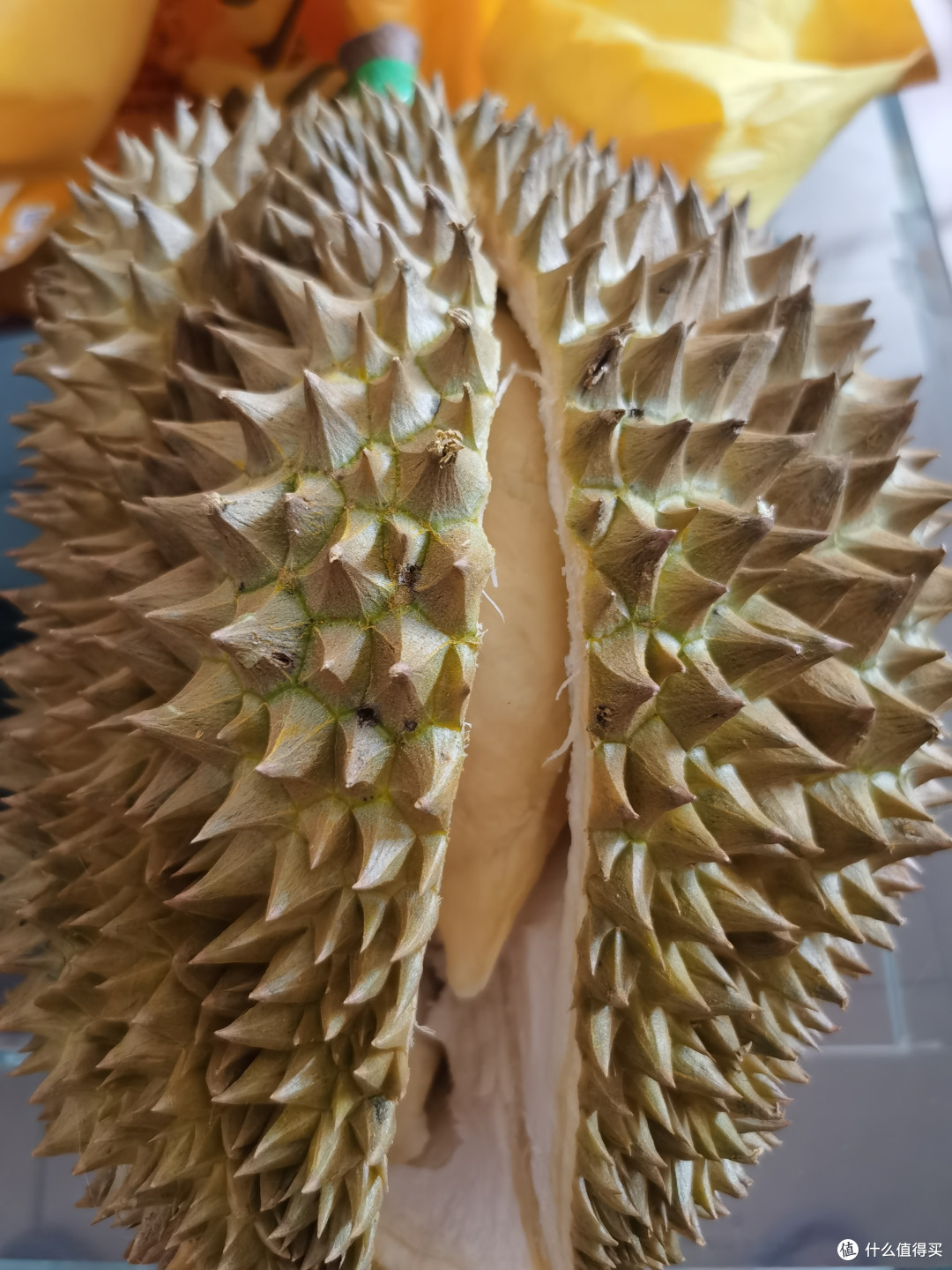 金枕榴莲又回归了,开吃