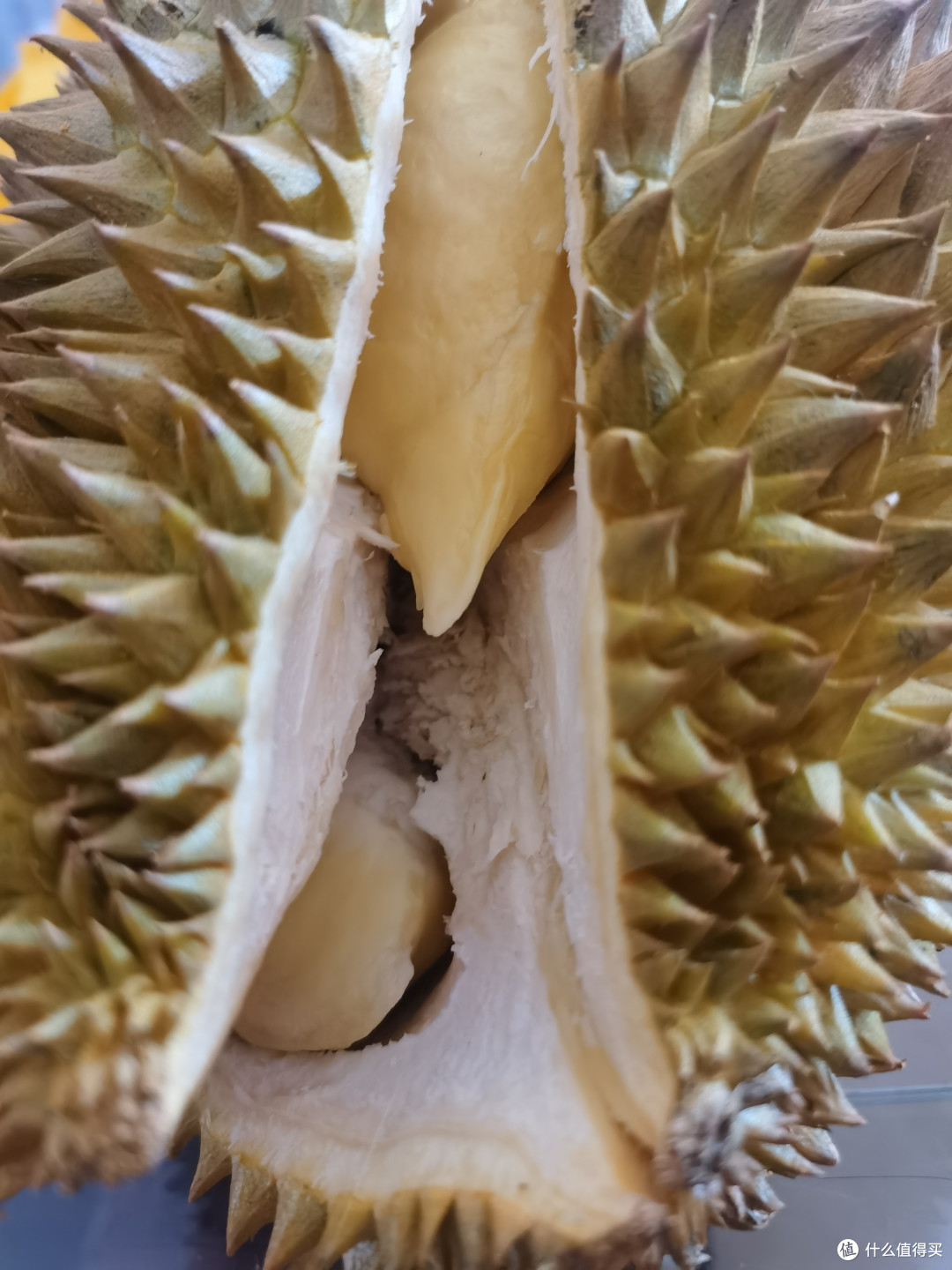 金枕榴莲又回归了,开吃