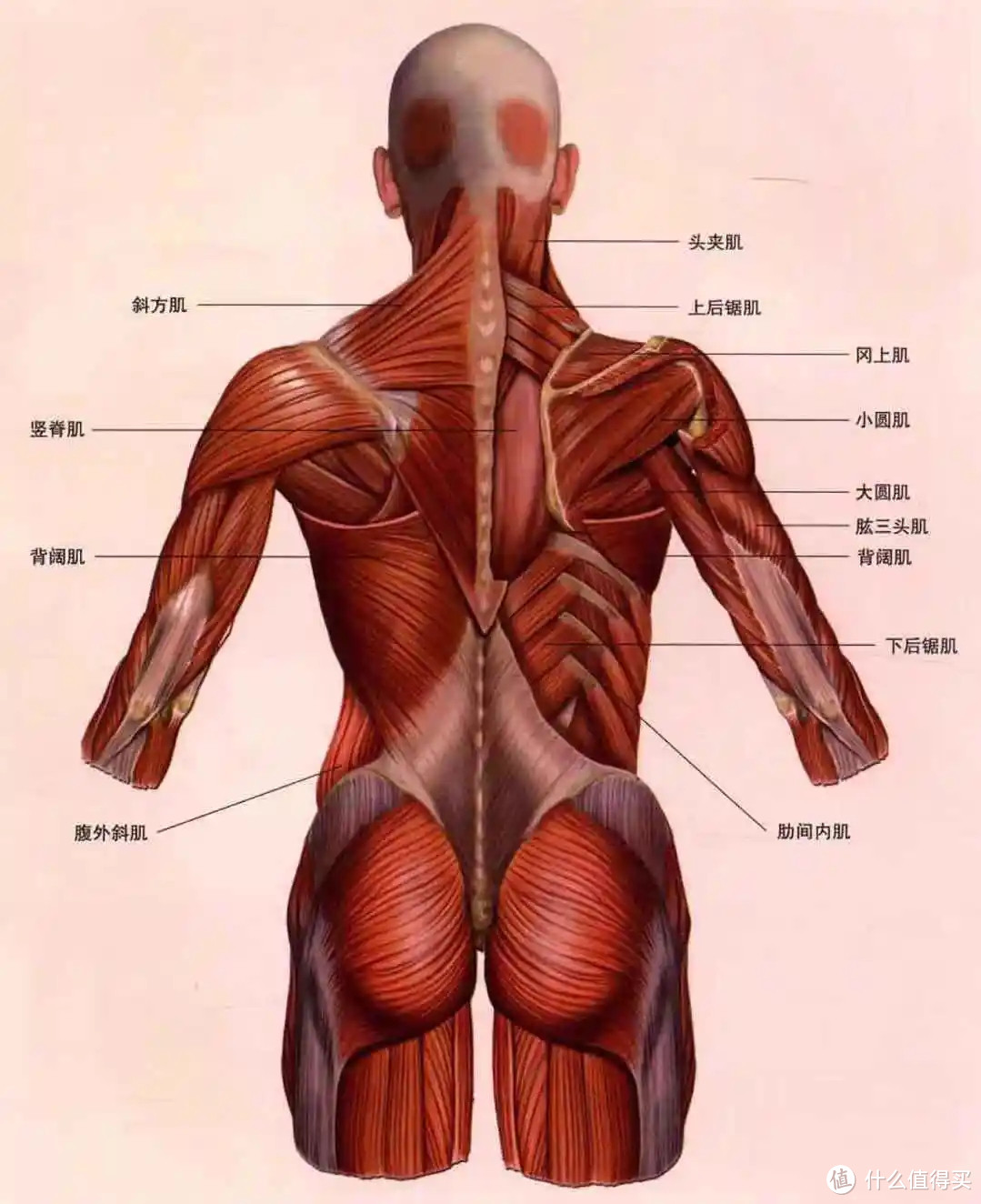 按摩椅怎么买，贴身实测带你对比荣泰A60、奥佳华7608TEN+ 【2023升级款】、西屋S500三款万元按摩椅！