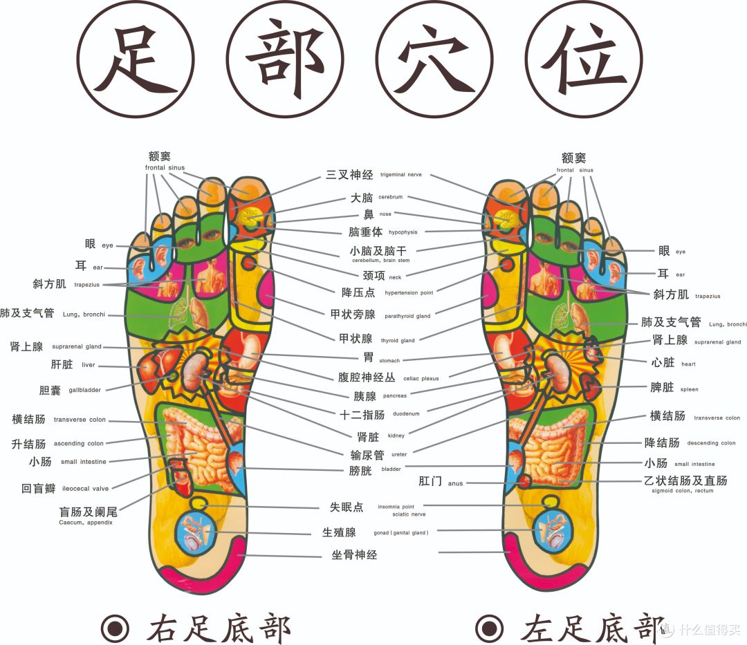 按摩椅怎么买，贴身实测带你对比荣泰A60、奥佳华7608TEN+ 【2023升级款】、西屋S500三款万元按摩椅！