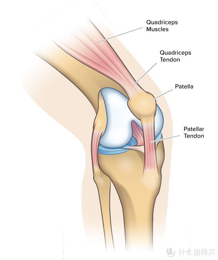2023徒步指南（9）：髌骨带跟护膝有何区别