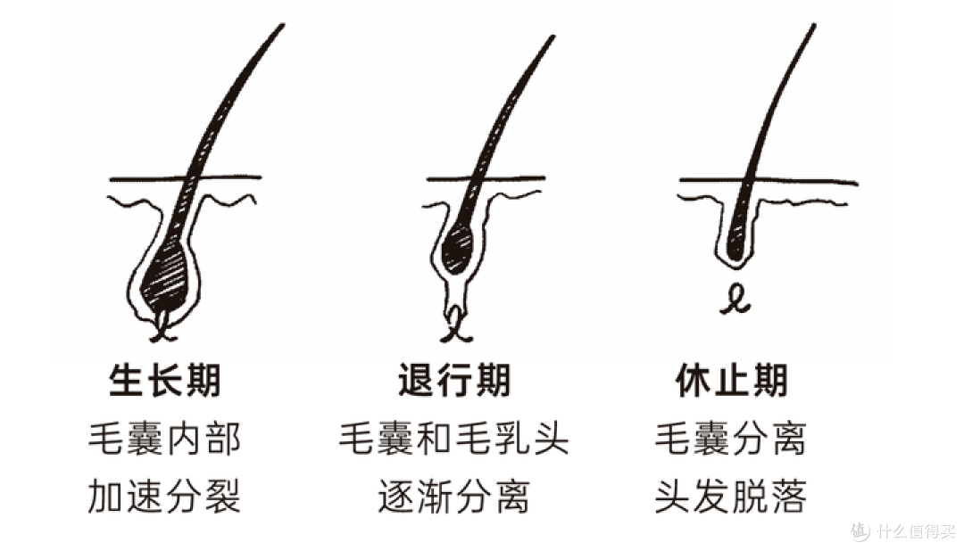 防脱秘籍，愿项目经理和程序员永不脱发！