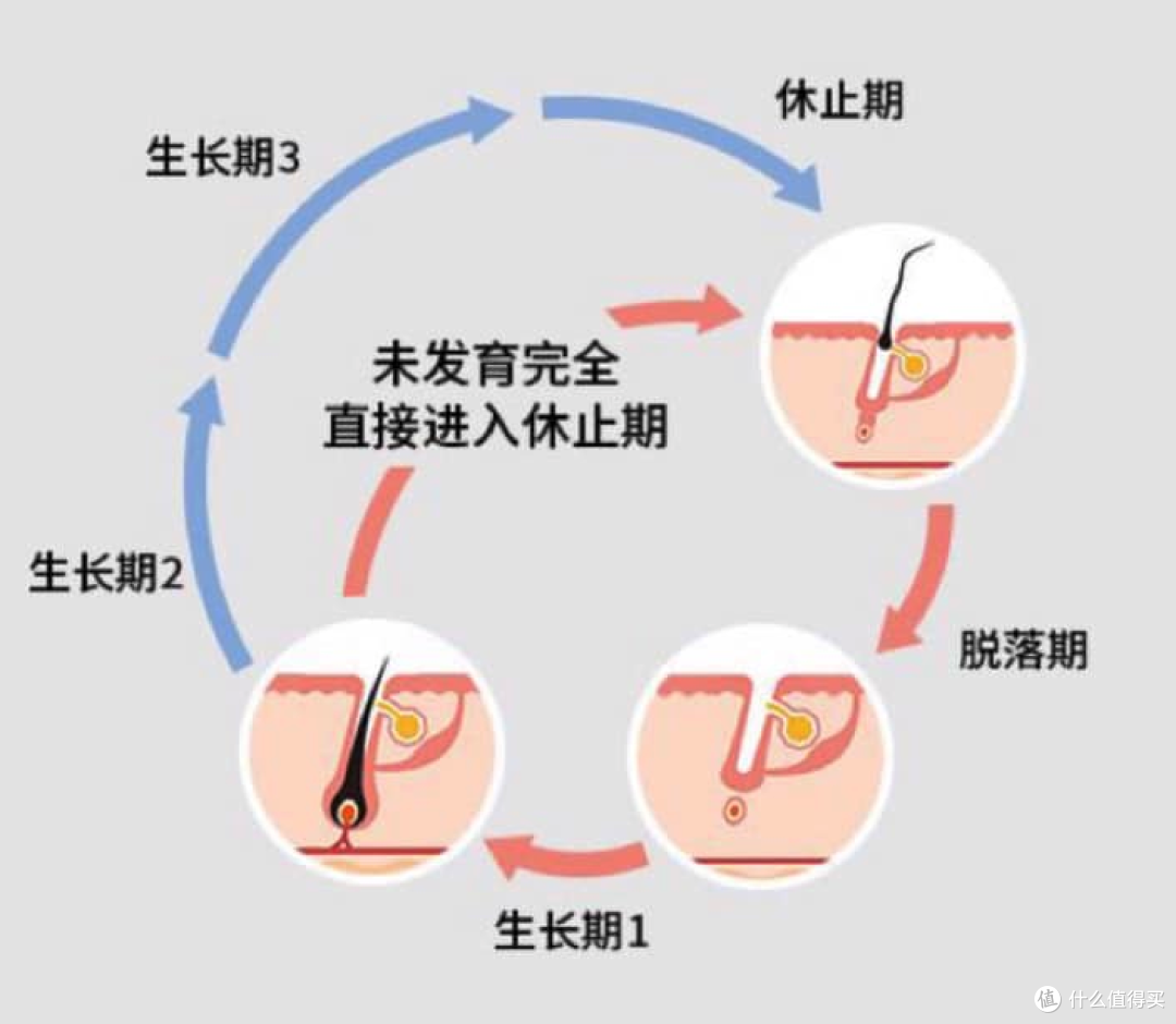 防脱秘籍，愿项目经理和程序员永不脱发！