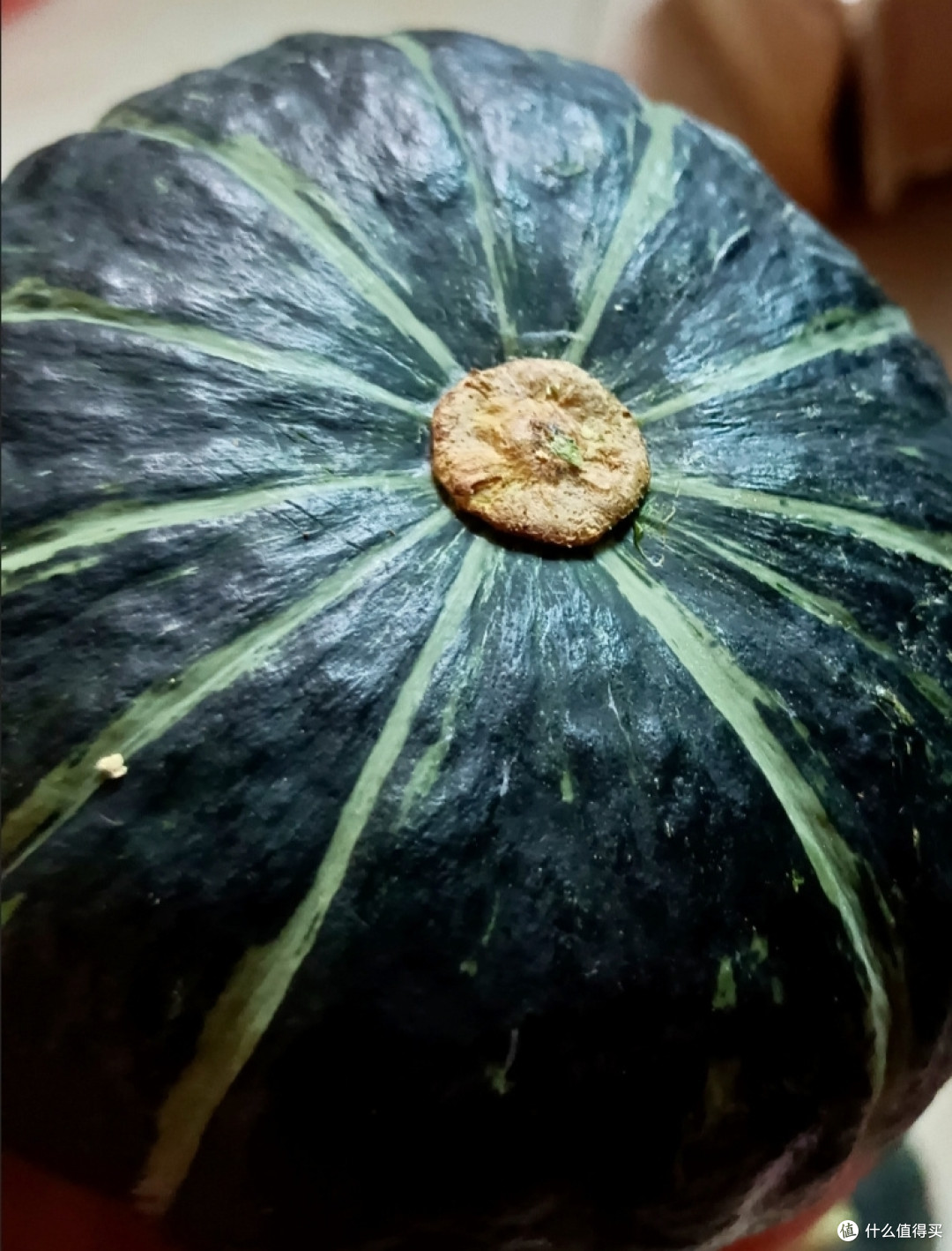 618好物种草之贝贝南瓜