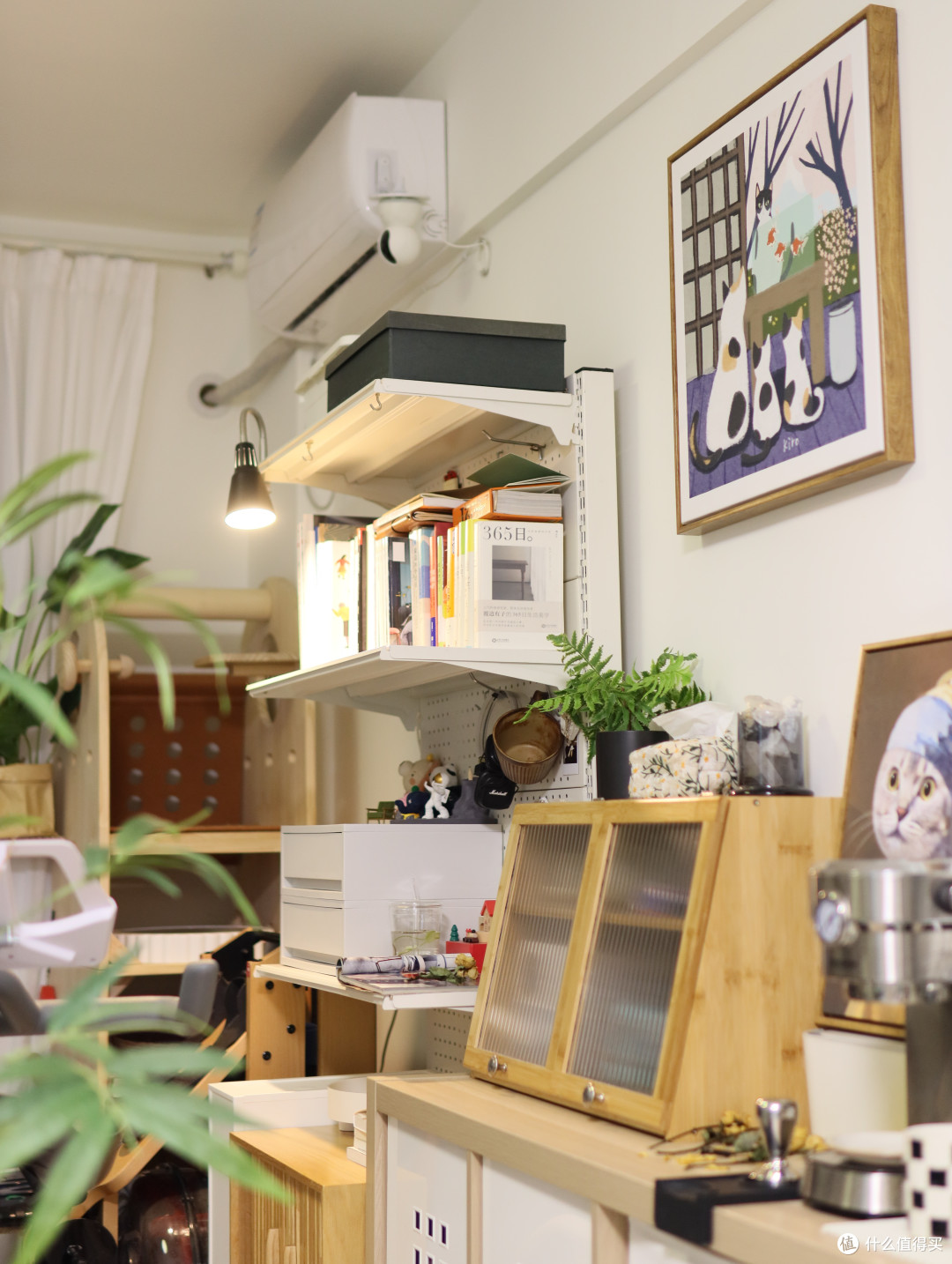 如今居住的改造后小屋-凌乱错落交织