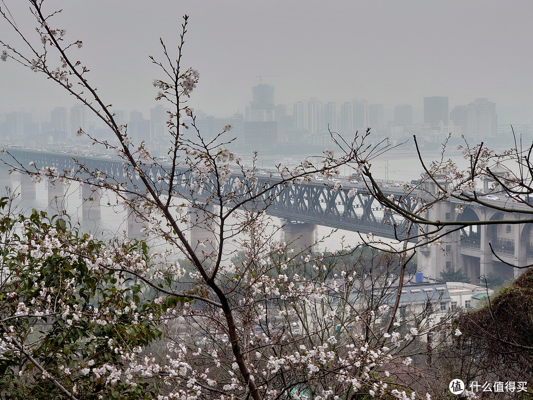 龟山电视塔下的平台拍的，这里拍长江大桥无敌了