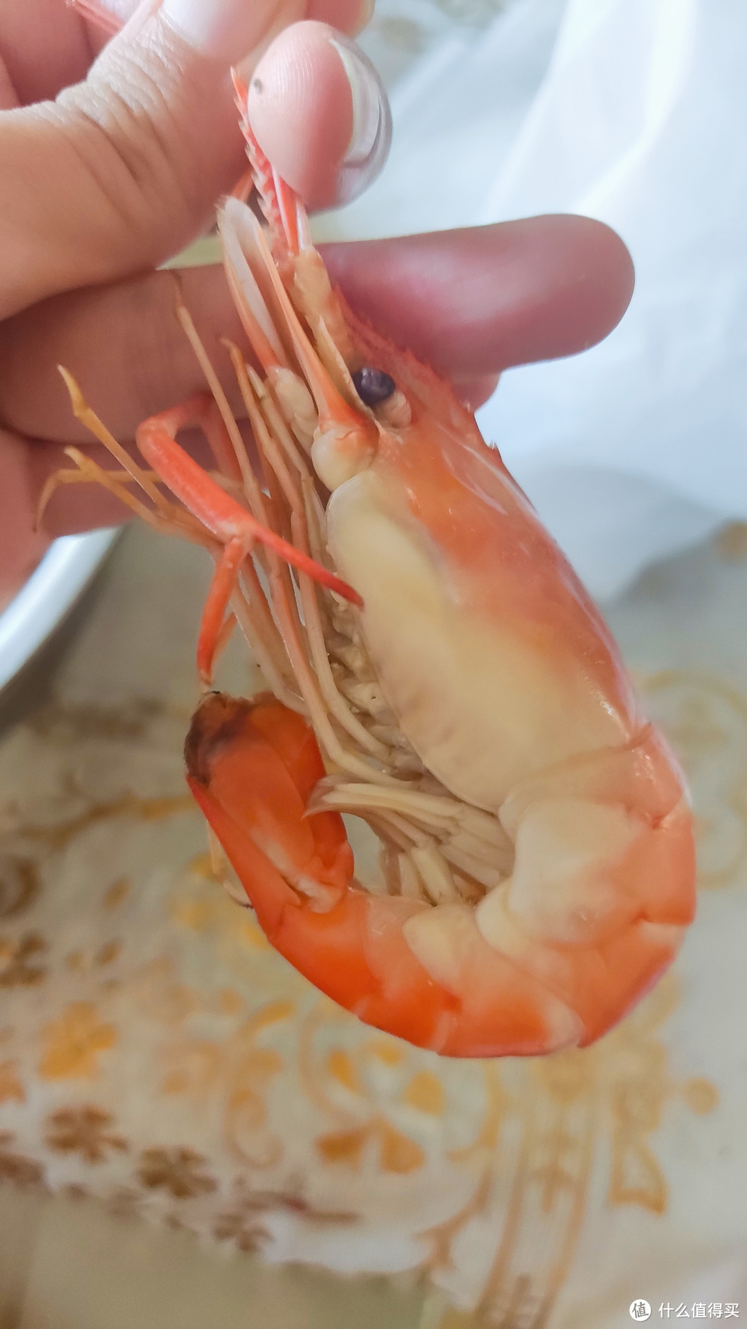 夏季来了,海鲜也来了!