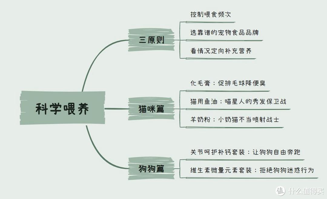 远离宠物医院巨坑！618大促，除了囤主粮，铲屎官别忘了买这5种好物！