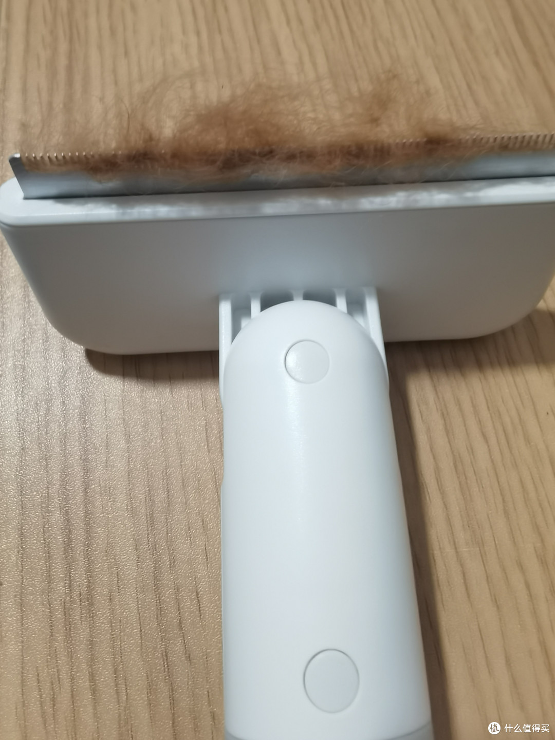 五款宠物毛梳的真实体验