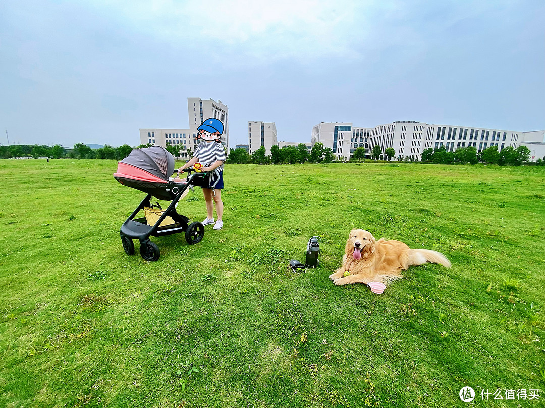 上周刚带wiki和宝宝一起去大草地玩