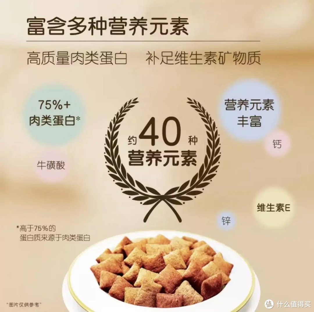 猫主养成|猫咪各阶段食物选择攻略，做有态度的铲屎官