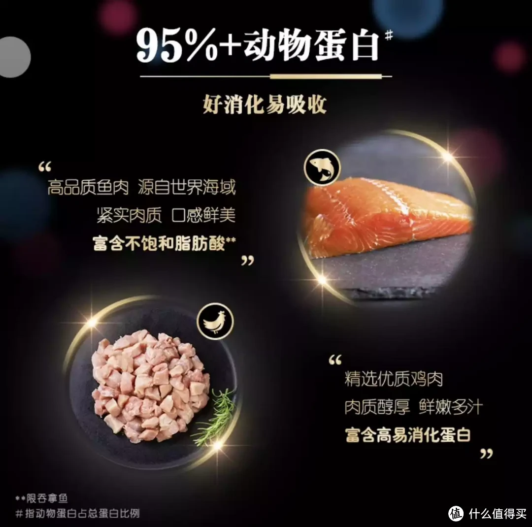 猫主养成|猫咪各阶段食物选择攻略，做有态度的铲屎官