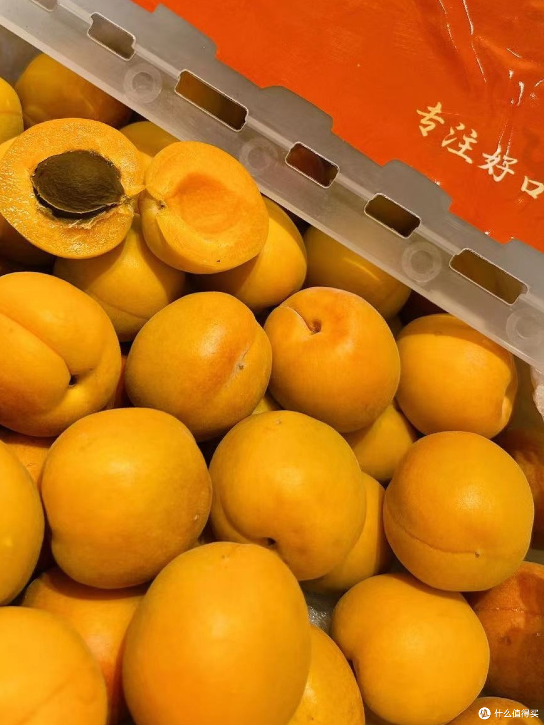 梅子金黄杏子肥，麦花雪白菜花稀 