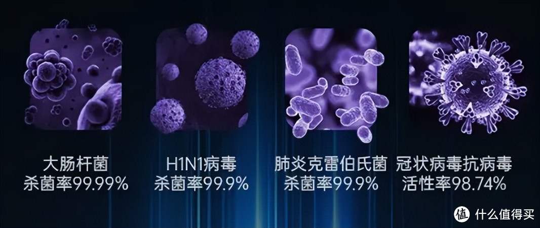 来自一名铲屎官的大吐槽：家有掉毛宠物，空气净化器怎么选？舒乐氏A02空气净化器，全屋净化必备专家！