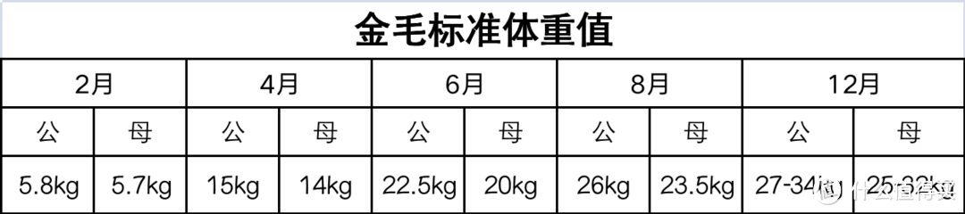 看看你们家的金毛是否标准体重