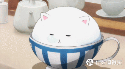 【夏天喝什么】纯茶(浓茶)给你种草啦!