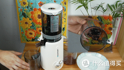 无需切削可整果榨汁，还能制作水果冰淇淋：德国蓝宝原汁机测评