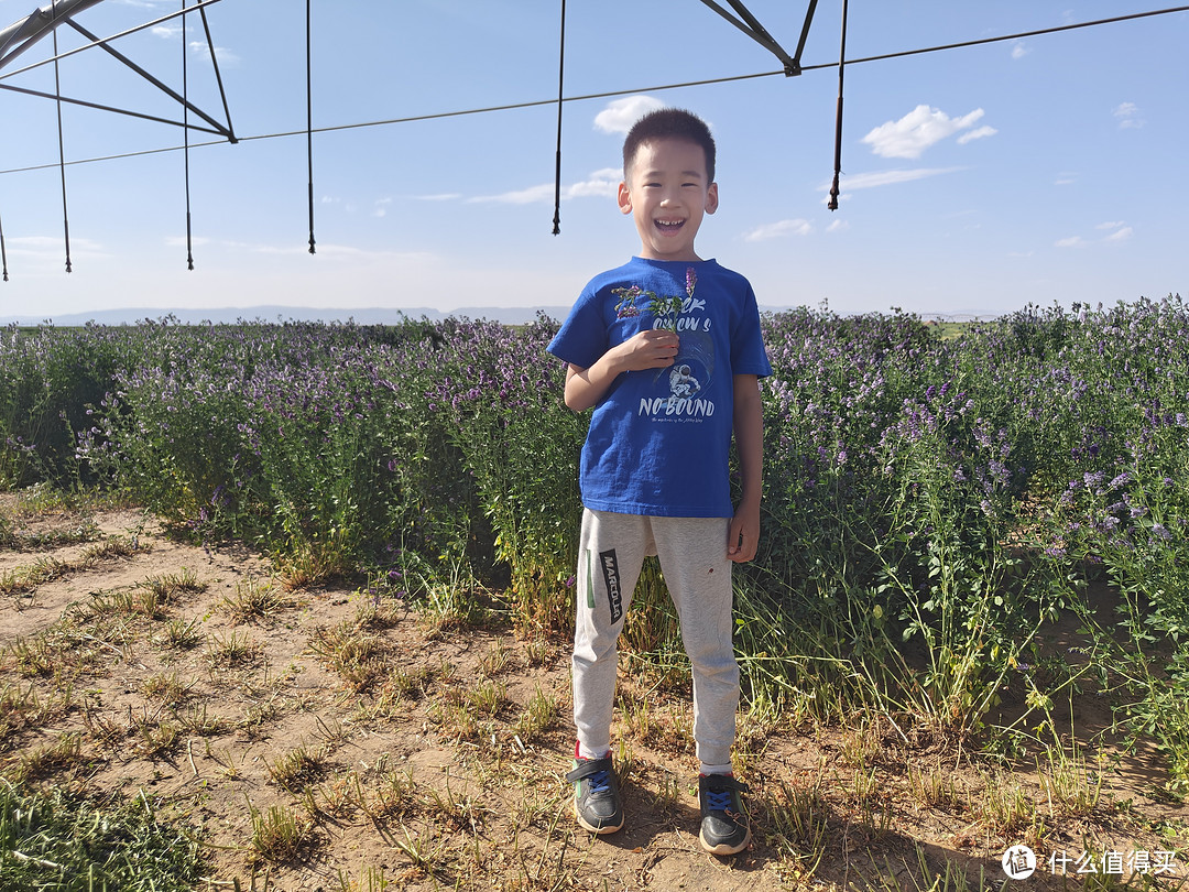 一杯有机奶是如何从沙漠走向餐桌？亲身走进圣牧，探求本源，寓教于乐，寓学于趣