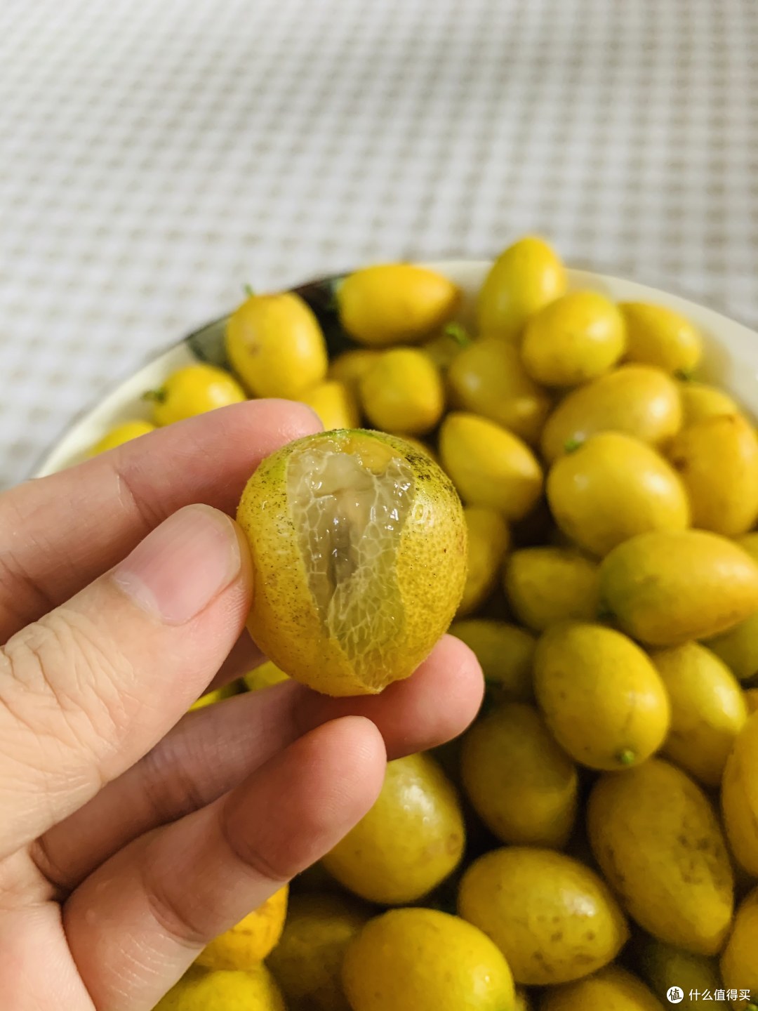 小众水果,冰糖黄皮,纯甜
