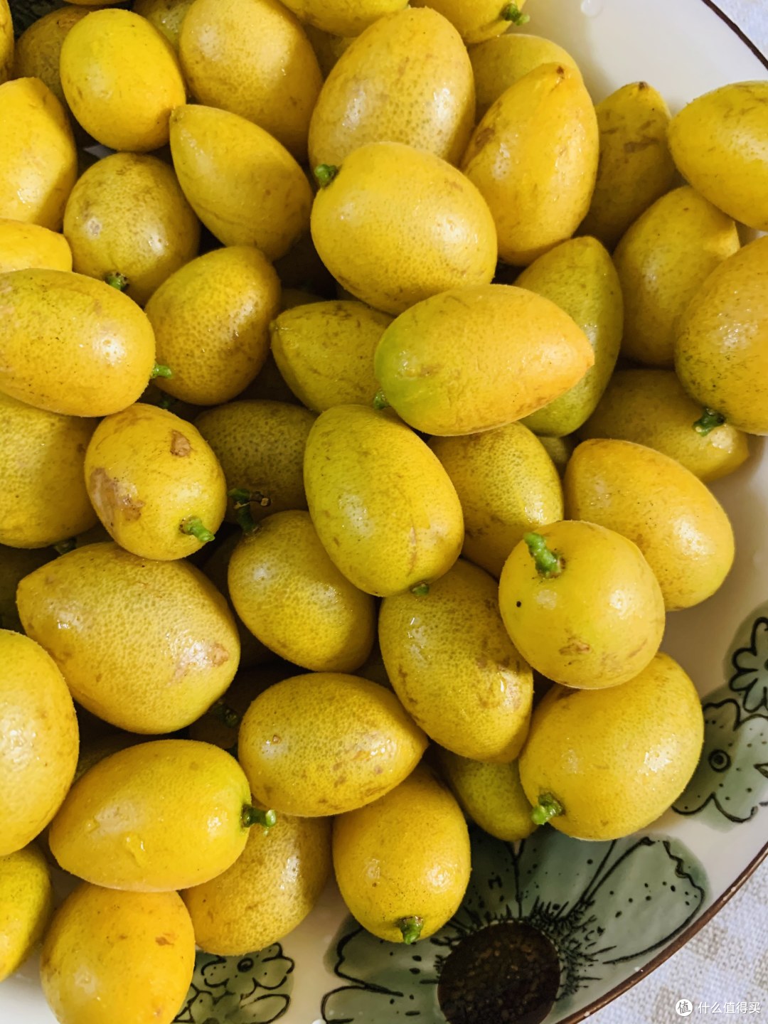 小众水果,冰糖黄皮,纯甜