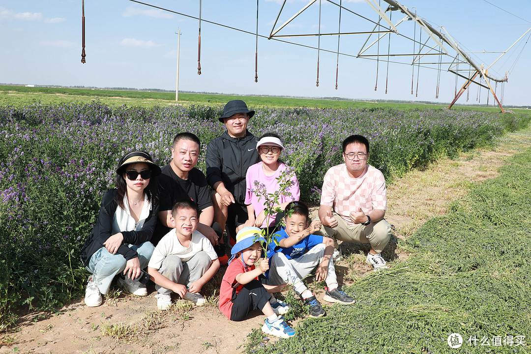 一杯有机奶是如何从沙漠走向餐桌？亲身走进圣牧，探求本源，寓教于乐，寓学于趣