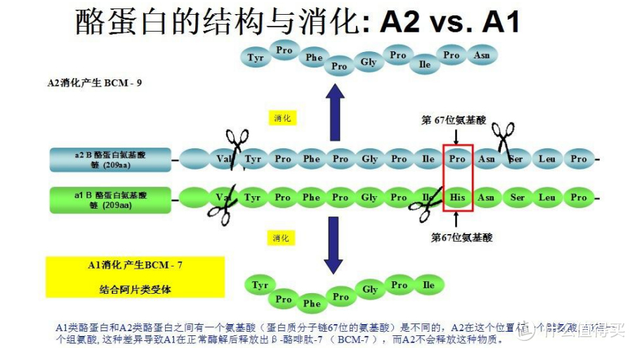 一杯有机奶是如何从沙漠走向餐桌？亲身走进圣牧，探求本源，寓教于乐，寓学于趣