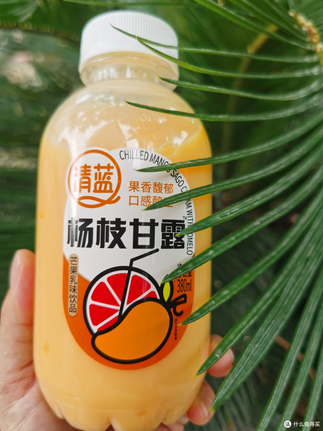 蛋糕店与奶茶店的杨枝甘露有啥区别
