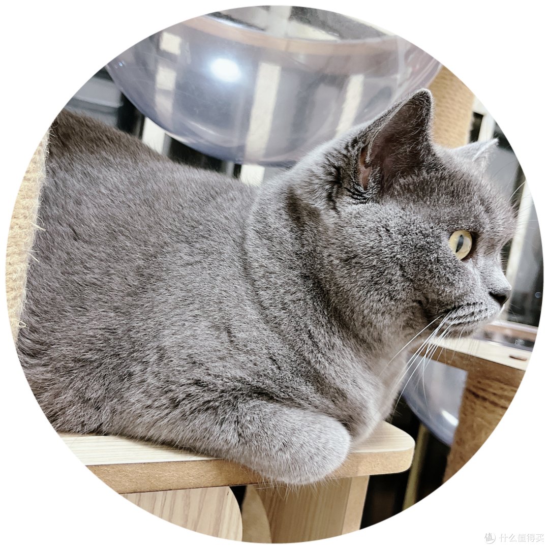 我家宝贝