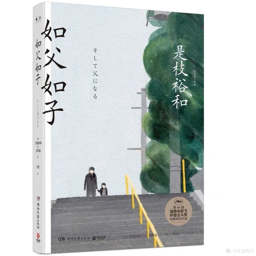 这本“爹味十足”的小说,凭什么拿下豆瓣8.4?
