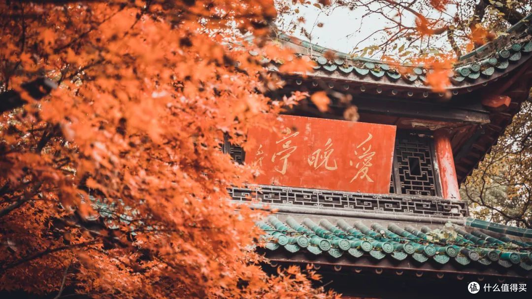 这条高铁线上的城市,加起来顶中国美食半边天