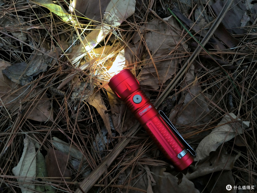 小红,今晚你陪我散步吧。