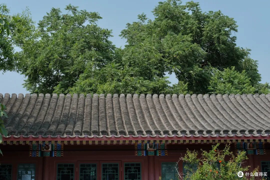 北京的文艺都藏在这片胡同群里了。