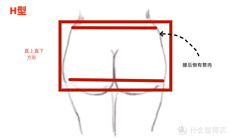 根据臀型选内裤，改变穿衣臀部曲线！还不会选的速进