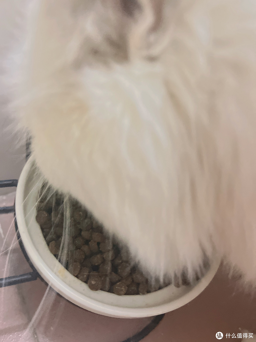 🐾 为了满足挑食猫咪的口味，我再次回购了网易严选全价冻干双拼猫粮！