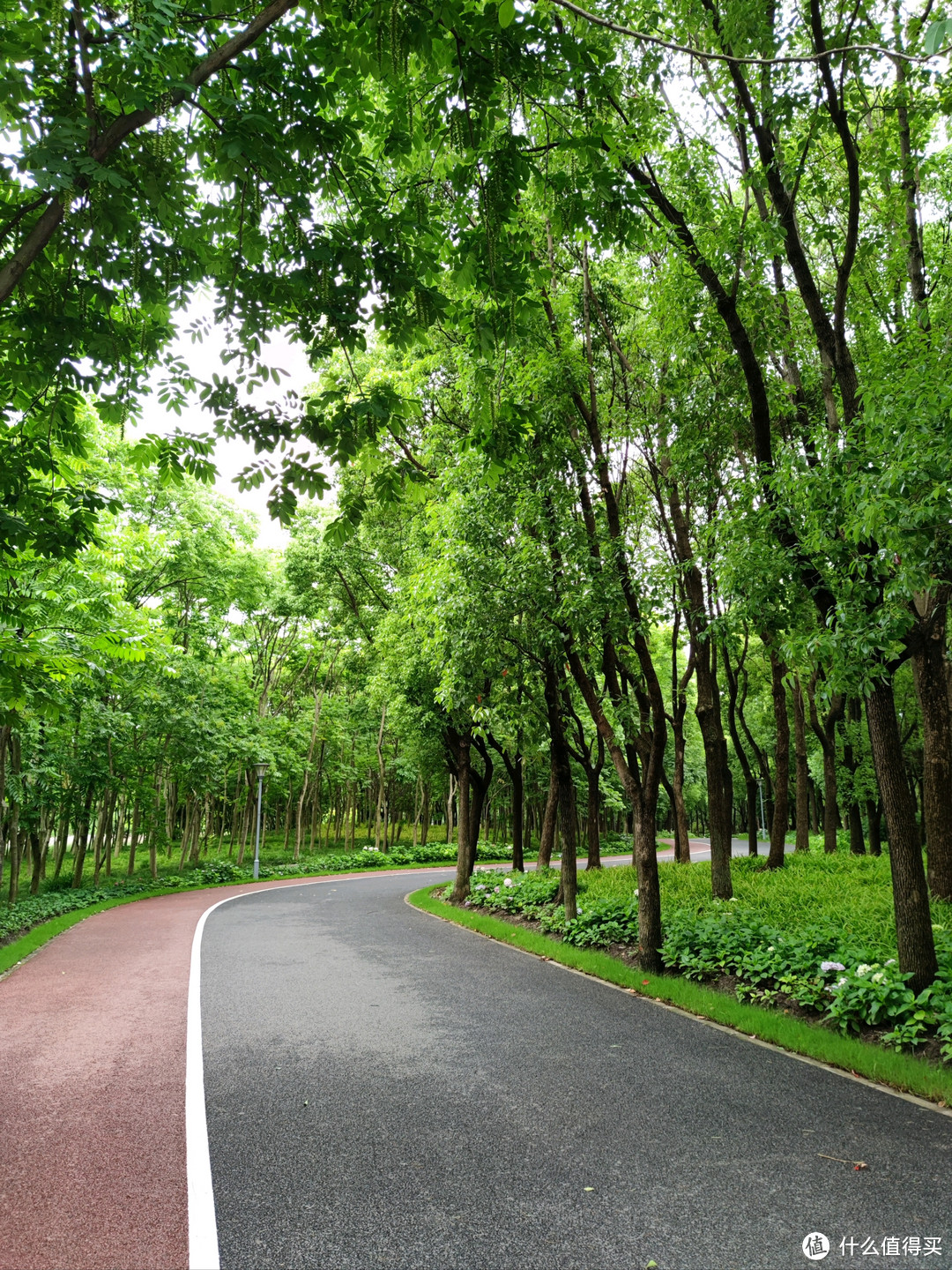 上海骑行绝佳路线：长宁绿色生态步道