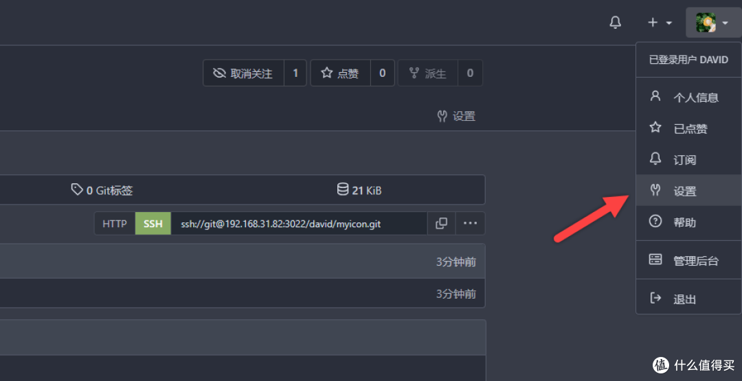 UNRAID篇，搭建Gitea 轻量级全功能 DevOps 开发平台