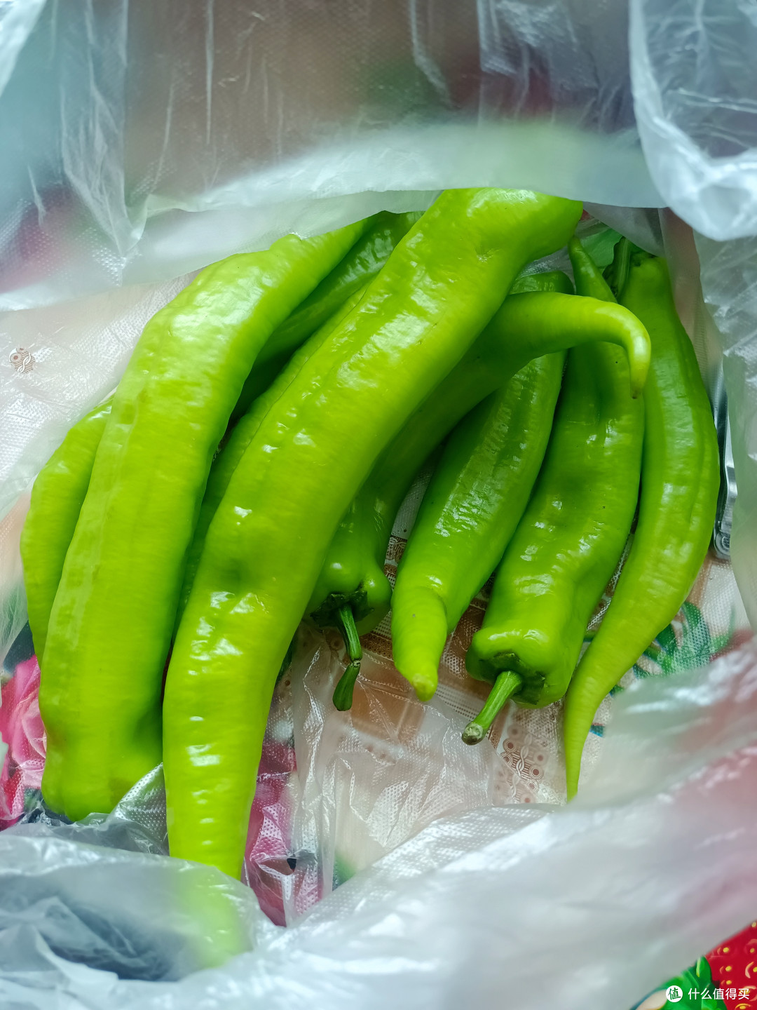 从超市购回的虎皮椒,炒菜凉拌烧烤都美味