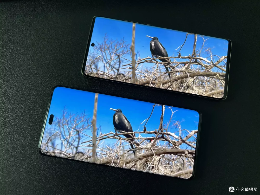轻薄的人像拍照手机，选荣耀90 Pro还是OPPO Reno10 Pro+？