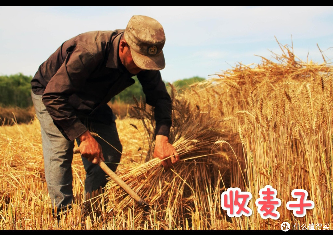 看西瓜地，上补习班，哪个幸福？