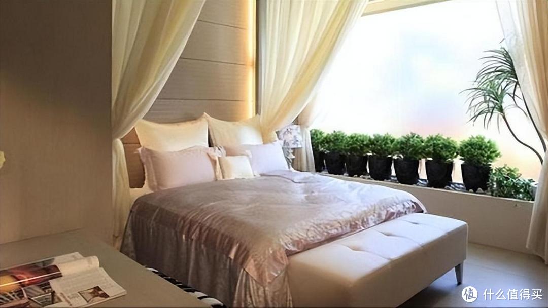 在“养精蓄锐”的卧室养花，要注意4点，避免影响睡眠和空气质量