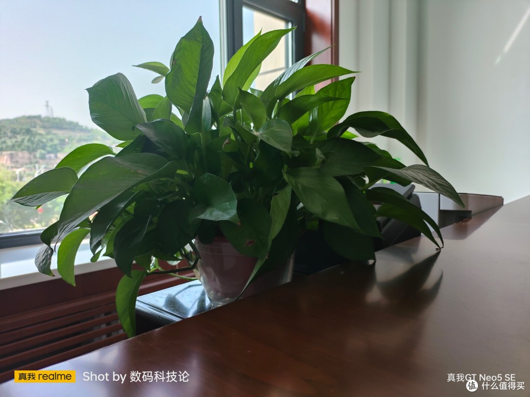 或许是送大学新生的最好礼物:真我 GT Neo5 SE手机评测分享