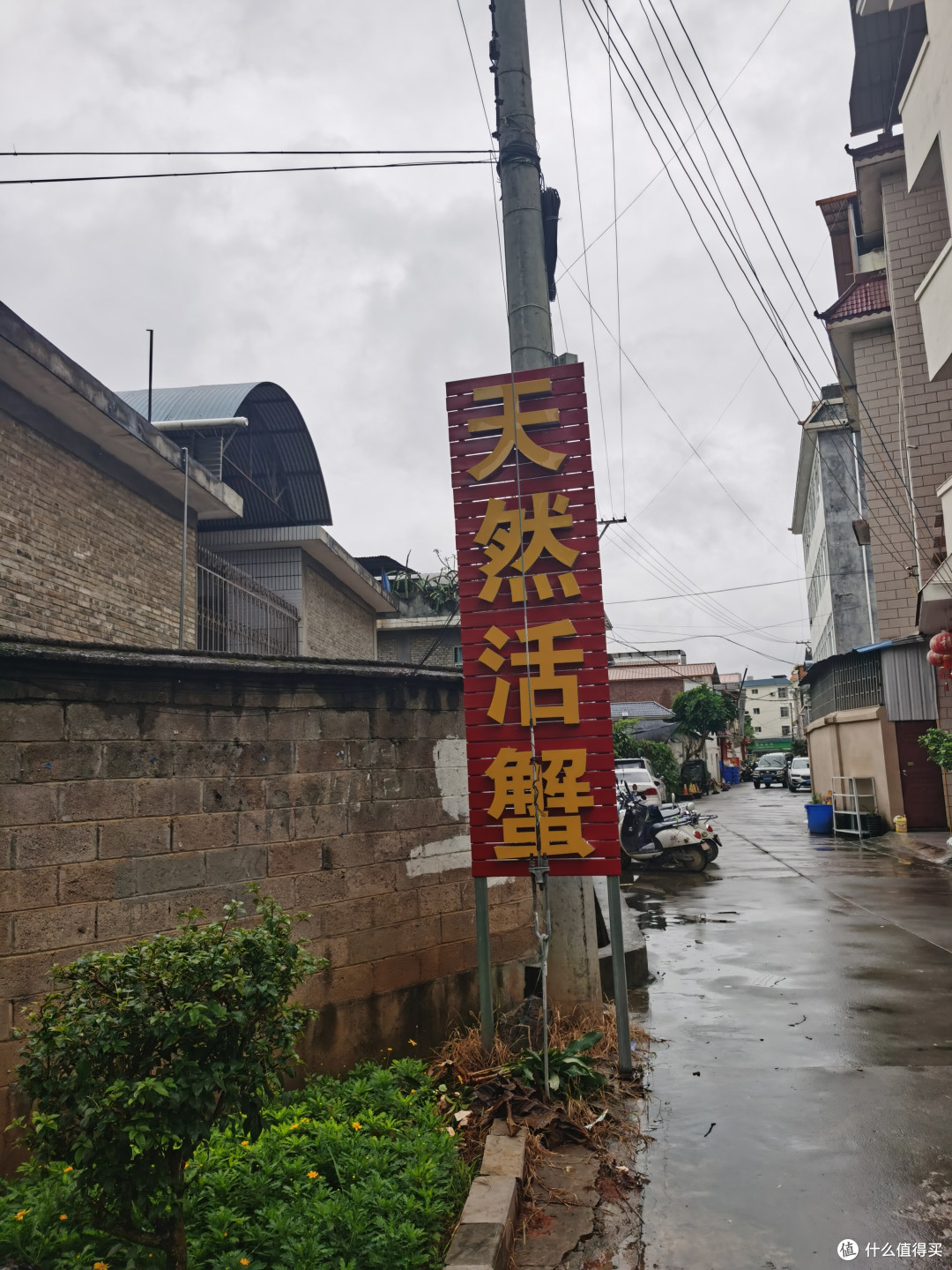芒市丨天然活蟹，满满都是蟹黄，牛蛙也很肥美