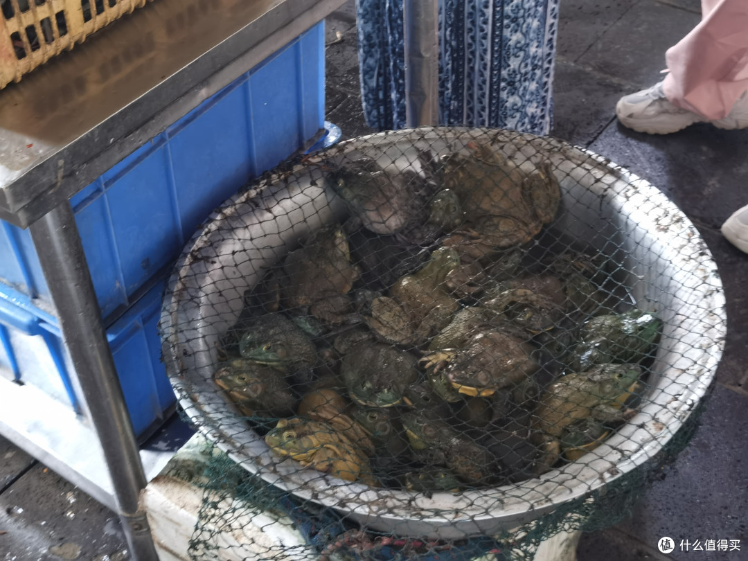 芒市丨天然活蟹，满满都是蟹黄，牛蛙也很肥美