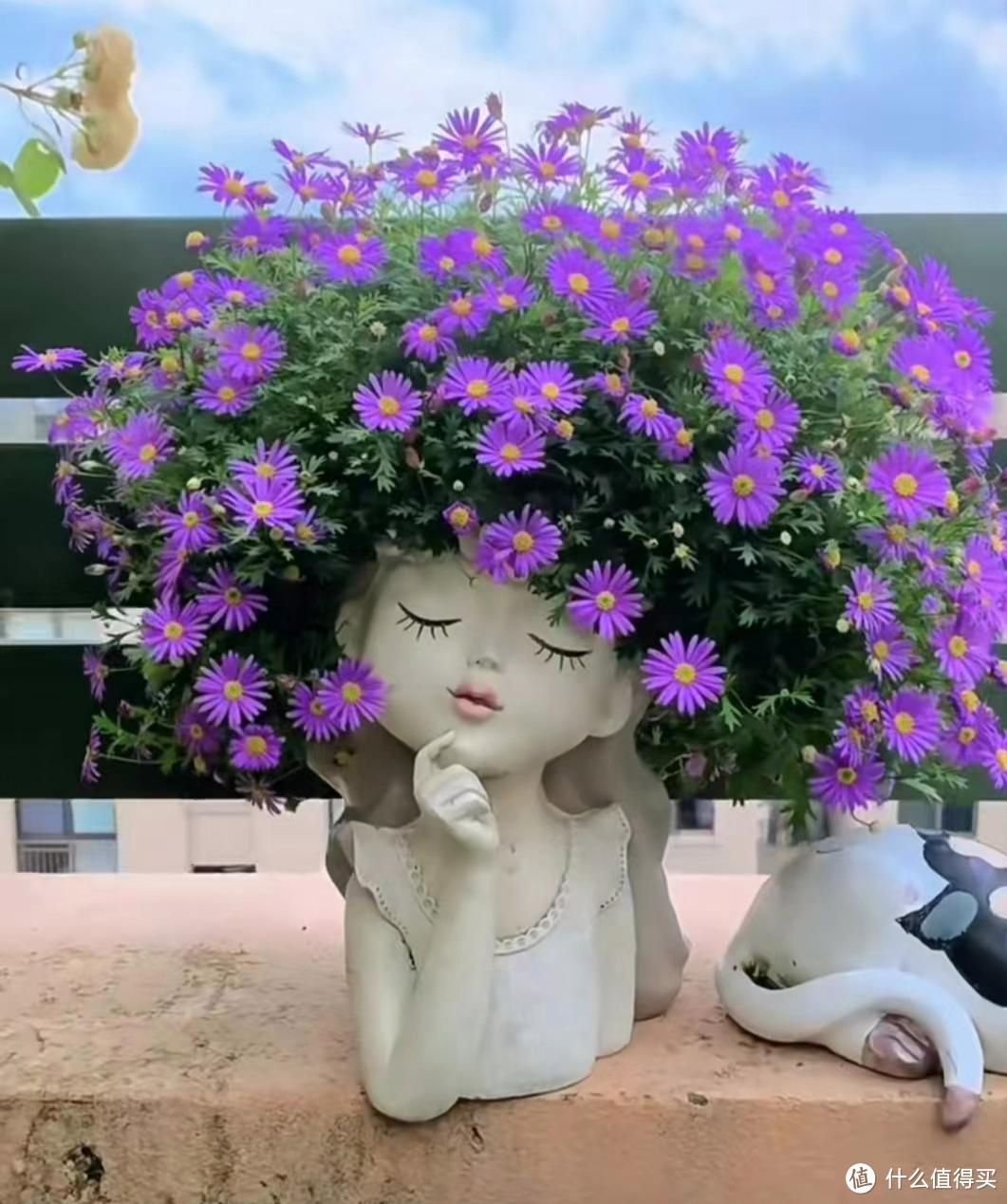 上海一位小姐姐，因用“娃娃花瓶”种花而走红，网友：可爱有创意